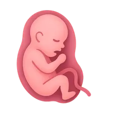 Antenatal Complications Management