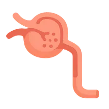 GFR in pathophysiological states