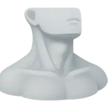 Surface Anatomy of the Neck