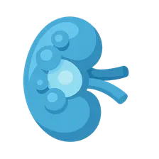 Renal cystic diseases