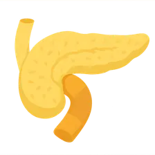 Congenital Anomalies of Pancreas