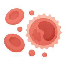 Microscopic Anatomy of Blood and Immune System