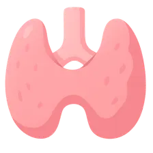 Thyroidectomy indications and techniques