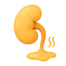 Ammonia production and excretion