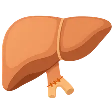 Liver transplantation