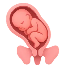 Physiology of Labor