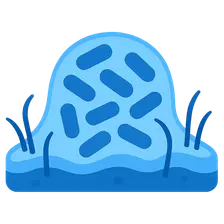 Biofilm-associated resistance