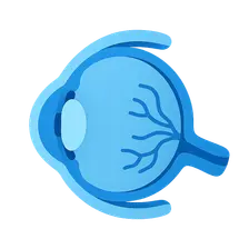 Ocular Anatomy