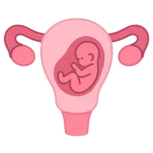 Prior preterm birth management