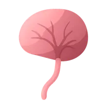 Placental Hormones