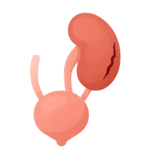Genitourinary Trauma