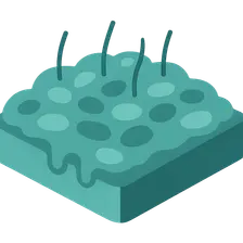 Microbial Biofilms