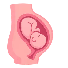 Intranatal Care