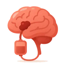 Acute ischemic stroke management