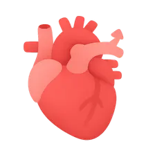 Cardiac Output and Its Regulation