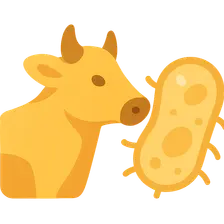 Bacterial Zoonoses