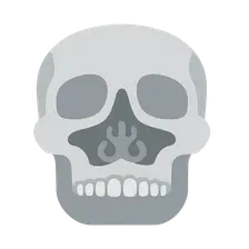 Anterior Skull Base Approaches