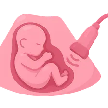 Ultrasound markers and anomaly screening