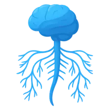 Autonomic Nervous System