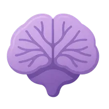 Cerebellum