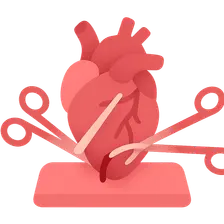 Organ Procurement