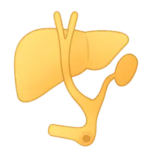 Biliary atresia and Kasai procedure