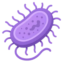 Bacterial Morphology and Structure