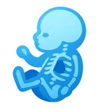 Neonatal Imaging
