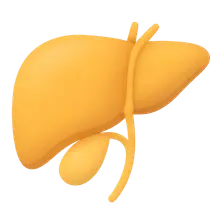 Hepatobiliary Physiology