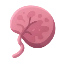 Placental Pathology