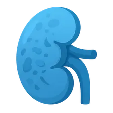 Tubulointerstitial diseases