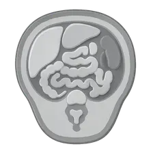 Cross-sectional Anatomy: Abdomen and Pelvis