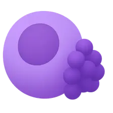 Multiple Myeloma and Plasma Cell Disorders