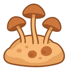 Opportunistic Fungal Infections