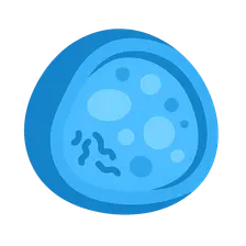 Lysosome structure and function
