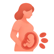 Anemia in pregnancy