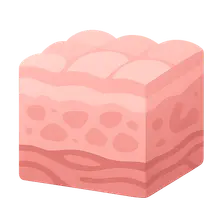 Basic Tissue Types