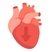 Systolic function assessment