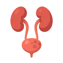 Urinary Tract Infections