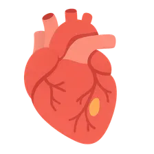 Stable coronary artery disease