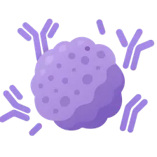 Monoclonal antibodies in cancer