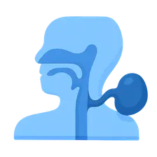 Congenital anomalies of pharyngeal arch derivatives