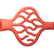 Microcirculation physiology