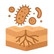 Bioremediation