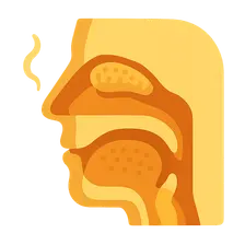 Physiology of Smell and Taste