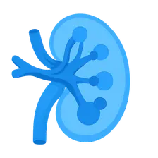 Long-term complications of transplantation