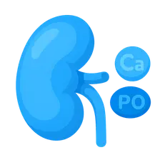 Calcium and phosphate handling