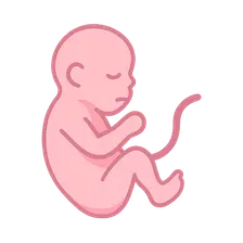 Teratogenic exposures