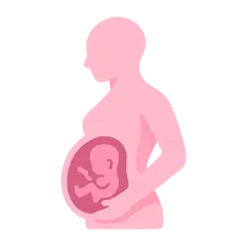 Maternal physiological adaptations to pregnancy