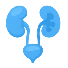 Obstructive uropathies